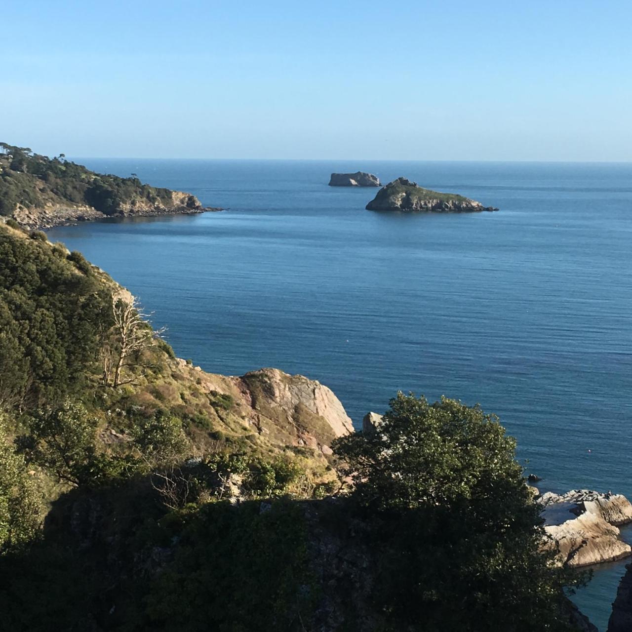 托基纽堡旅馆住宿加早餐旅馆 外观 照片